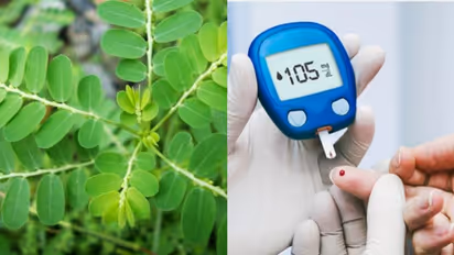 Keelanelli: குப்பையில் கிடக்கும்...கீழாநெல்லி மஞ்சள் காமாலைக்கு மட்டுமல்ல நீரழிவு பிரச்சனைக்கும் தீர்வாகும்.!