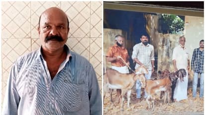 ജമ്നാപ്യാരി ആടിനെയും കുട്ടികളെയും കടത്തി; മോഷ്ടാവിനെ കച്ചവടക്കാര് പിടികൂടി