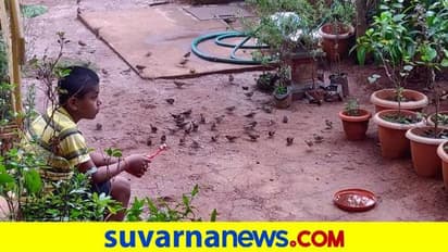  உலக சிட்டுக்குருவி தினம் இன்று..! கீச்...கீச்.. சிட்டுக்குருவிகளை நம் வீட்டிற்கு எப்படி கொண்டு வர வேண்டும்? 