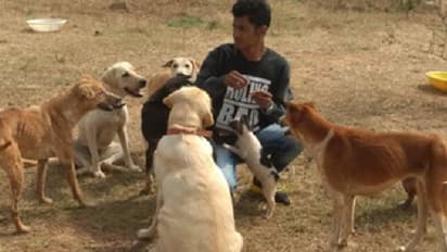 അനാഥരും പരിക്കേറ്റതുമായ നായകൾക്ക് ഹാരിസിന്റെ അഭയകേന്ദ്രം