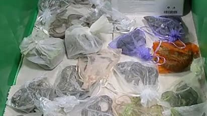 Smuggler Caught : ജാക്കറ്റിനുള്ളില്‍ വ്യത്യസ്തമായ 'കള്ളക്കടത്ത്'; പിടികൂടിയത് എന്താണെന്നറിയാമോ?