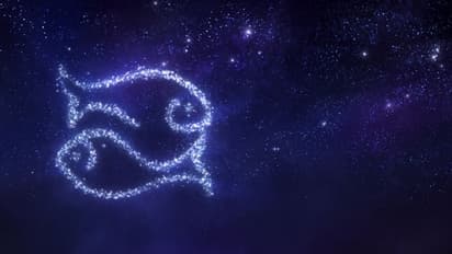 বছরের প্রথম মাস কেমন প্রভাব ফেলবে মীন রাশির উপর, জেনে নিন বিস্তারিত