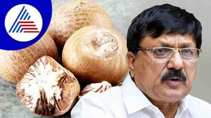 ಅಡಿಕೆ ಆರೋಗ್ಯಕ್ಕೆ ಹಾನಿಕಾರಕ ಎಂಬ ಹೇಳಿಕೆ ಯಾರೂ ನೀಡಬಾರದು: ಆರಗ ಜ್ಞಾನೇಂದ್ರ