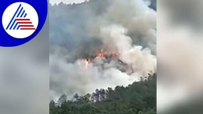 China Plane Crash: 133 ಪ್ರಯಾಣಿಕರಿದ್ದ ಚೀನಾದ ವಿಮಾನ ಪತನ, ಹಲವರು ಮೃತಪಟ್ಟಿರುವ ಶಂಕೆ!