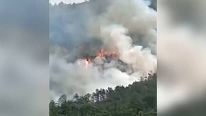 China Plane Crash:சீனாவில் 133 பயணிகளுடன் சென்ற விமானம் விபத்து.. பலர் உயிரிழந்திருக்கலாம் என பீதி..