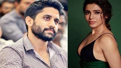 Samantha Ruth Prabhu, Naga Chaitanya divorce: This was the last nail in the coffin