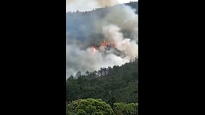 PM Modi 'shocked, saddened' over China plane crash with 132 onboard, prays for victims