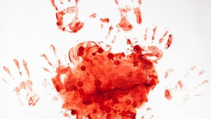 ಕೆಲಸದವನಿಗೆ ಹೃದಯ ಕೊಟ್ಟ ಉದ್ಯಮಿಯ ಪತ್ನಿ, ಆಳಿಗಾಗಿ ಗಂಡನ ಕೊಲೆ!