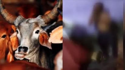 ഉത്തര് പ്രദേശില് അറവ് മാലിന്യവുമായി പോയ മുസ്ലിം യുവാവിന് പശുക്കടത്താരോപിച്ച് ക്രൂര മർദ്ദനം