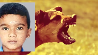 മൂന്ന് മാസം മുന്പ് വളര്ത്തുനായ മാന്തി: പേവിഷബാധയേറ്റ് രണ്ടാം ക്ലാസ് വിദ്യാര്ഥി മരിച്ചു