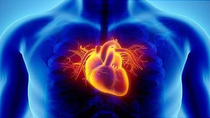 ফুসফুস ছাড়াও নানান রোগের কারণ হল ধূমপান, World No tobacco Day-তে রইল তামাকের ক্ষতির কথা