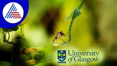 ಮಲೇರಿಯಾಕ್ಕೆ ಕಾರಣವಾಗುವ ಸೊಳ್ಳೆಗಳನ್ನು ಗುರುತಿಸುವುದು ಈಗ ಸುಲಭ !