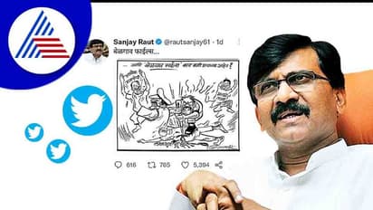 Belgaum Files ಟ್ವೀಟ್ ಮಾಡಿ ಸ್ವಾಭಿಮಾನಿ ಕನ್ನಡಿಗರನ್ನು ಕೆಣಕಿದ ಶಿವಸೇನೆಯ ಸಂಜಯ್ ರಾವತ್