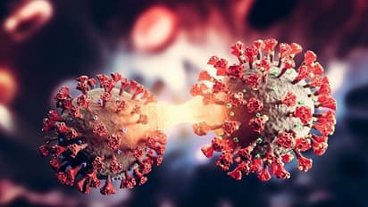 Tuberculosis in Covid-recovered patients: Doctors say do not ignore symptoms