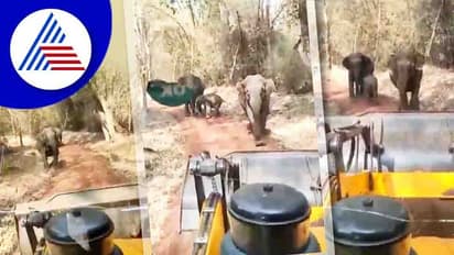 ಭದ್ರಾ ಅಭಯಾರಣ್ಯದಲ್ಲಿ ಜೆಸಿಬಿಯಿಂದ ಕಾಡಾನೆಯನ್ನು ಹಿಂಸಿಸಿದ ಕಿಡಿಗೇಡಿಗಳು!