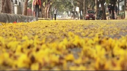 Mandya : 14ರಿಂದ 20ರವರೆಗೆ ಸಹಕಾರ ಸಪ್ತಾಹ ಆಚರಣೆ