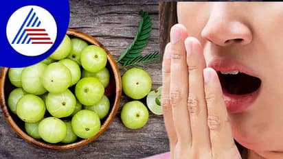 Personal Care: ಮೀಟಿಂಗ್ ಇರಲಿ ಡೇಟಿಂಗ್, ಜೇಬಿನಲ್ಲಿರಲಿ ಈ ಸ್ಪ್ರೇ