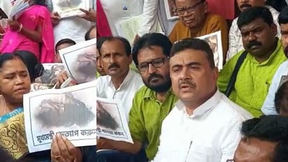 'মুখ্যমন্ত্রী পদত্যাগ করুন', মমতার রামপুরহাট সফরের দিনেই বিধায়সভায় ফের ওয়াকআউট বিজেপির