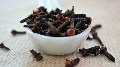 অশুভ শক্তি থেকে মুক্তি দেয় কর্পূর থেকে লবঙ্গ, কী বলছে জ্যোতিষশাস্ত্র