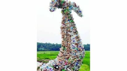 തോട്ടിലെ പ്ലാസ്റ്റിക് കുപ്പികൾ പെറുക്കി പാടശേഖരത്ത് മത്സ്യരൂപം തീര്ത്ത് യുവാവ്