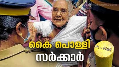 K Rail Protest : സംസ്ഥാനത്ത് കല്ലിടൽ അനൗദ്യോഗികമായി നിർത്തി? നിഷേധിച്ച് കെ റയിൽ