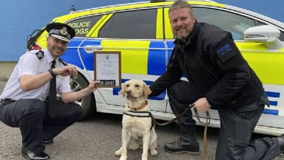 നേരെ നിൽക്കാൻ പോലും പറ്റാത്ത അവസ്ഥയിൽ രക്ഷിച്ചെടുത്തു, ഇന്ന് ബോണി ഒരു പൊലീസ് നായ