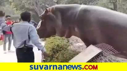 ದಾಳಿ ಮಾಡುವಂತೆ ಬಂದ ನೀರು ಕುದುರೆಗೆ ಹೊಡೆದು ಓಡಿಸಿದ ಗಾರ್ಡ್: ವಿಡಿಯೋ