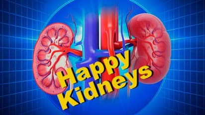 Want to keep your kidney happy? Here are some tips you should follow now