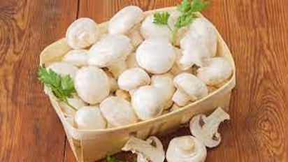 పుట్టగొడుగులు తింటే అలాంటి రోగాలు అస్సలు రావు.. అవేంటంటే?