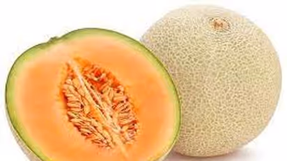 వేసవిలో ఖర్బూజాలను తీసుకుంటే కలిగే ఆరోగ్య ప్రయోజనాలు ఏంటో తెలుసా?