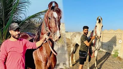 রবীন্দ্র জাদেজার বিশাল বাংলো যেন এক রাজপ্রাসাদ - ধরা পড়ে রাজপুত মেজাজ, দেখুন