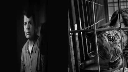 World Press Photo Award: முதல்முறையாக தென்னிந்தியர் தேர்வு.. சர்வதேச விருது பெற்ற மதுரைக்காரர்..