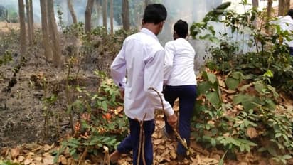 শালের জঙ্গলে অগ্নিকাণ্ড , প্রার্থনার লাইন থেকে দৌড়ে আগুন নেভালেন ছাত্র ও শিক্ষকেরা