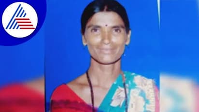 Chikkamagaluru: ಐಬೆಕ್ಸ್ ತಂತಿ ಬೇಲಿಗೂ ಡೊಂಟ್ ಕೇರ್: ಕಾಡಾನೆ ದಾಳಿಗೆ ಮಹಿಳೆ ಸಾವು