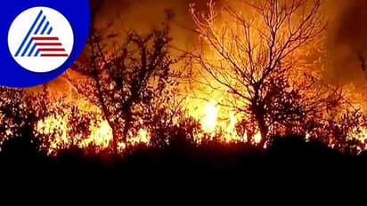 ಕೋಟೆನಾಡಿನಲ್ಲಿ ಕಿಡಿಗೇಡಿಗಳ ಕೃತ್ಯಕ್ಕೆ ಹೊತ್ತಿ ಉರಿದ ಜೋಗಿಮಟ್ಟಿ ಗಿರಿಧಾಮ