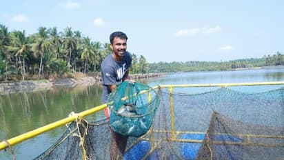 ഏഴ് കൂടുകളിലായി 7000 കരിമീൻ കുഞ്ഞുങ്ങൾ, ദിനിൽ പ്രസാദിന് സർക്കാരിന്റെ തൊഴിൽശ്രേഷ്ഠ പുരസ്കാരം