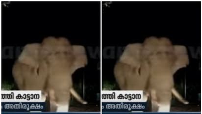 കാട്ടാനക്ക് മുമ്പില്‍ കുടുങ്ങി കാര്‍ യാത്രക്കാര്‍, രക്ഷപ്പെട്ടത് തലനാരിഴക്ക്; നെഞ്ചിടിക്കും വീഡിയോ