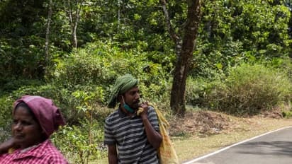 Lanka Issue : തമിഴർ പലായനത്തിന്റെ വക്കിൽ; ഇന്ത്യയുടെ സാമ്പത്തിക സഹായം ജീവവായുമെന്ന് മുൻ സ്പീക്കർ കരു ജയസൂര്യ