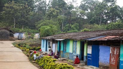 Sri Lankan settlement:  അഭയാര്‍ത്ഥികളോ സ്വദേശികളോ; ഗവിയിലെ ശ്രീലങ്കന്‍ കുടിയേറ്റം 