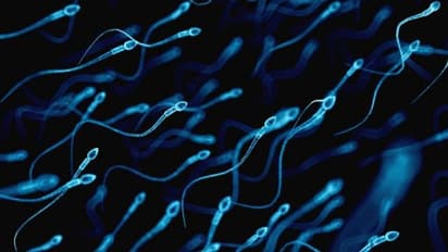 ஆண்களுக்கு விந்தணு உற்பத்தி குறைபாட்டை நீக்கும் 5 உணவு முறைகள்..!!