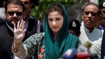 கோதுமை, நெய் எல்லாம் உண்ட கொழுத்த பெருச்சாளி இம்ரான் கான்.. போட்டு தாக்கிய முன்னாள் பிரதமர் மனைவி..