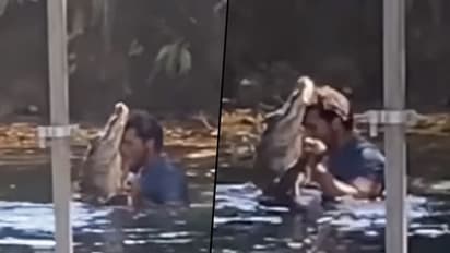 Watch: Man's grooves with an Alligator; stuns netizens