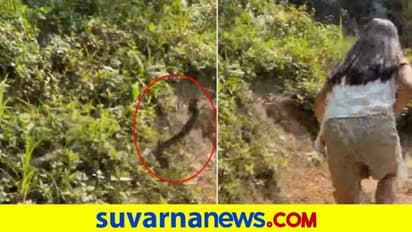 ಚಾರಣ ಹೊರಟವರಿಗೆ ಶಾಕ್‌ ನೀಡಿದ ಸ್ನೇಕ್‌