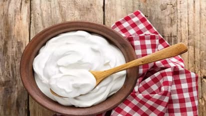 Curd Benefits: தினமும் தயிர் சாப்பிடுவதால் இவ்வளவு நன்மைகள் இருக்கா...? கட்டாயம் தெரிஞ்சுக்கோங்க....