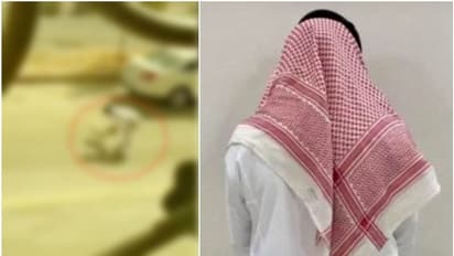 നായ്ക്കുട്ടിയെ തൂക്കിയെടുത്ത് റോഡില് അടിച്ചു; സൗദിയില് സ്വദേശിയെ അറസ്റ്റില്