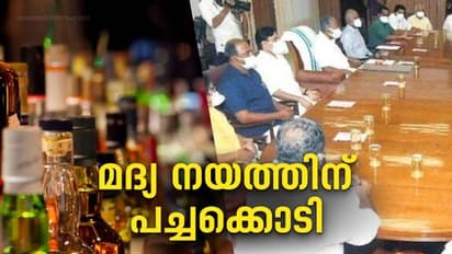 ഐടി പാർക്കുകളിൽ ഇനി ബാറും ‌പബും; പുതുക്കിയ മദ്യ നയത്തിന് പച്ചക്കൊടി;മന്ത്രിസഭ അം​ഗീകാരം