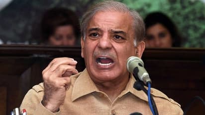 Pakistan Crisis ಪಾಕ್ ಪ್ರಧಾನಿಯಾಗುವ ಮೊದಲೇ ಕಾಶ್ಮೀರ ವಿಚಾರ ಕೆದಕಿದ ಶೆಹಬಾಜ್‌ ಷರೀಫ್‌!