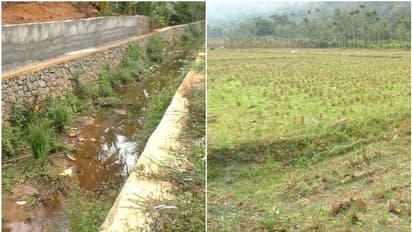 മുട്ടുകാട് പാടശേഖര സംരക്ഷണത്തിനനുവദിച്ച പണം വകമാറ്റി, പഞ്ചായത്തിനെതിരെ പരാതി