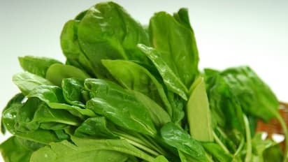 బచ్చలికూర ఆరోగ్యానికి వరం.. ఇది తింటే అలాంటి సమస్యలు అన్ని మాయం!