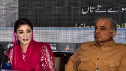 মসনদে শেহবাজ শরিফ, পাকিস্তানের নতুন প্রধানমন্ত্রীর সঙ্গে রয়েছে ভারতের গভীর যোগ